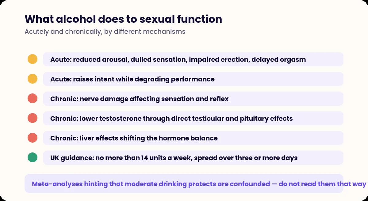 List of the acute and chronic effects of alcohol on sexual function