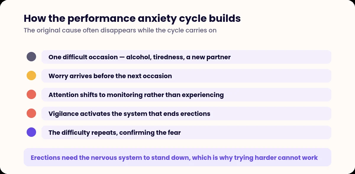 Five stage cycle showing how sexual performance anxiety maintains itself
