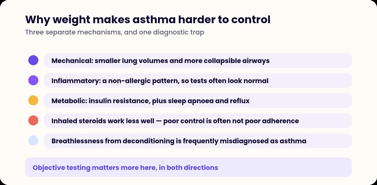 List of mechanisms linking obesity and asthma with the misdiagnosis caveat