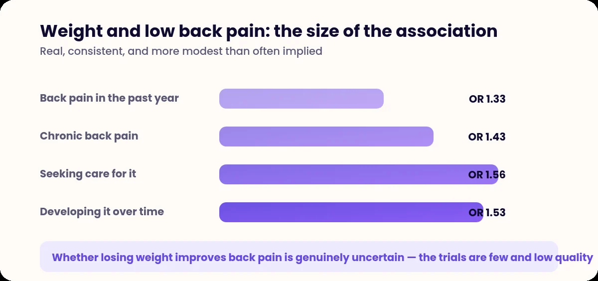 Bar chart of odds ratios linking obesity and low back pain outcomes