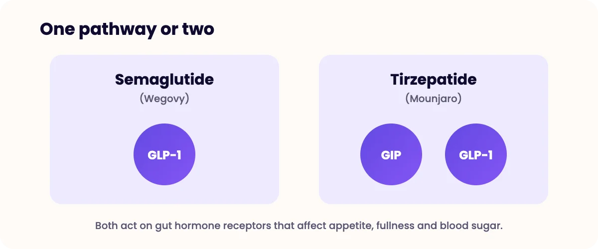 Diagram comparing semaglutide, which acts on the GLP-1 receptor, with tirzepatide, which acts on both GIP and GLP-1 receptors