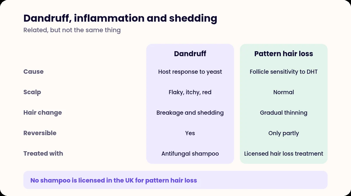 Comparison table of dandruff and androgenetic hair loss
