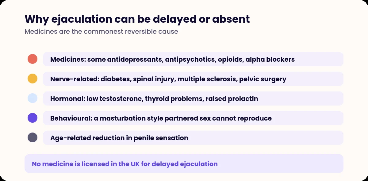 List of causes of delayed ejaculation grouped by type