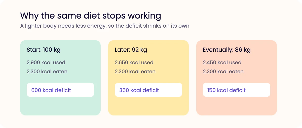 Three panels showing how a 600 calorie deficit shrinks to 350 and then 150 calories as body weight falls