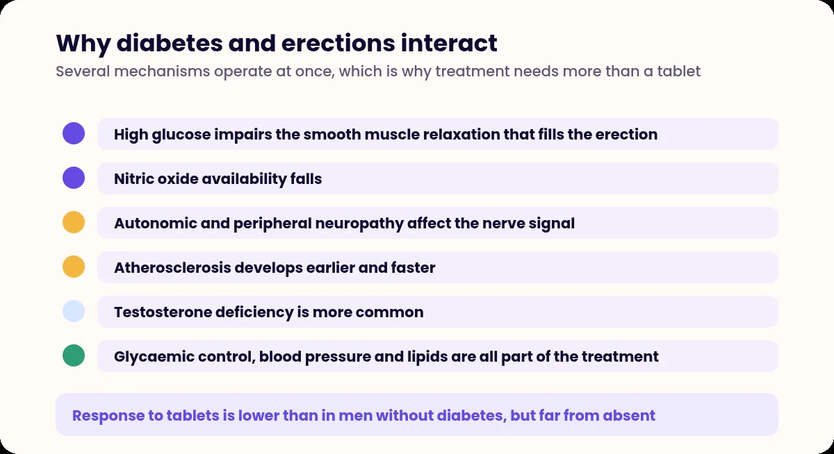 List of six mechanisms linking diabetes and erectile dysfunction