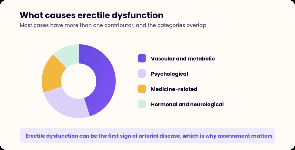 Donut chart dividing causes of erectile dysfunction into vascular, psychological, medicine-related and hormonal
