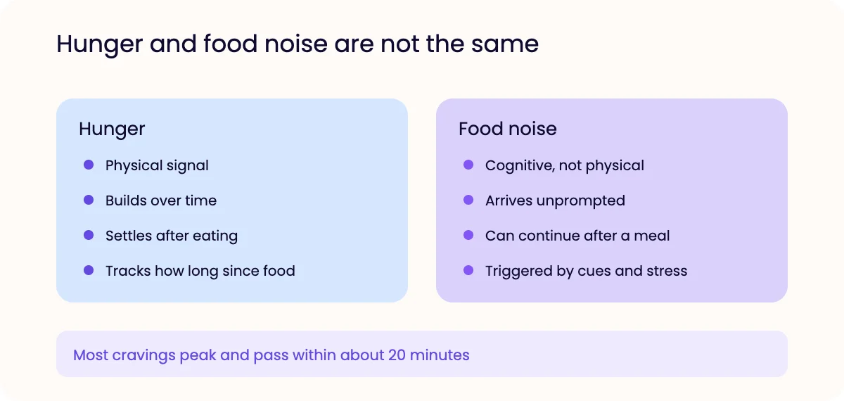 Two panels contrasting physical hunger with food noise, which is cognitive, arrives unprompted and can continue after eating