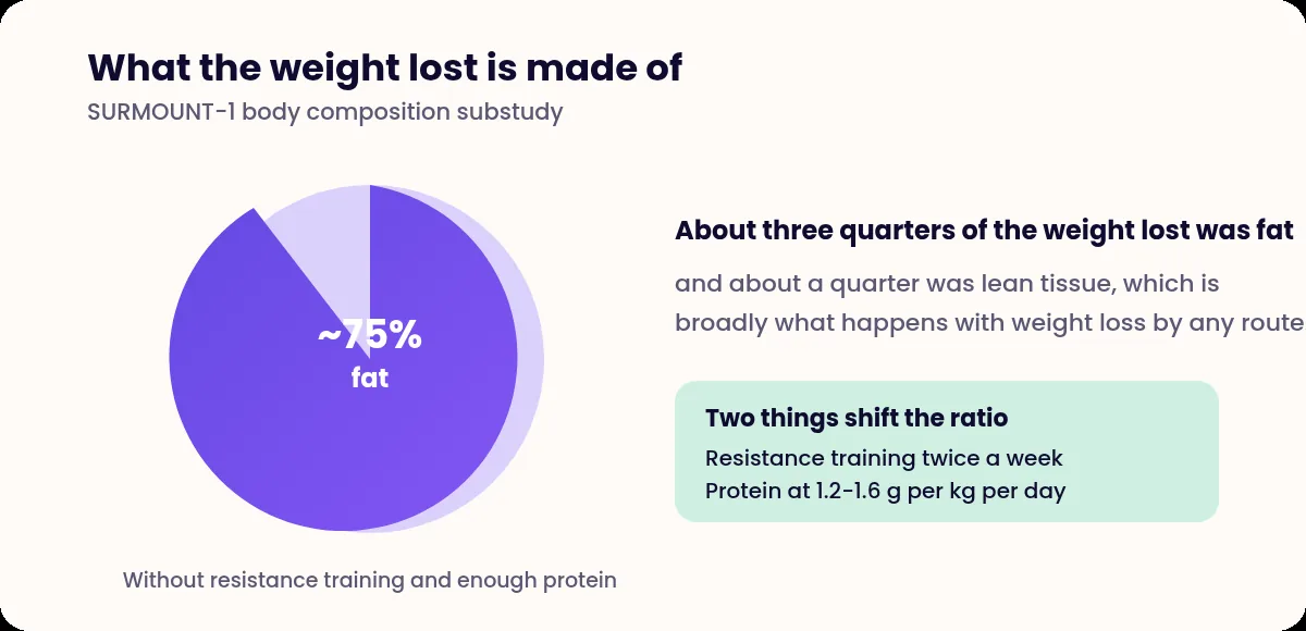 Pie chart showing roughly 75 per cent of weight lost as fat and 25 per cent as lean tissue, with training and protein noted as ways to shift the ratio
