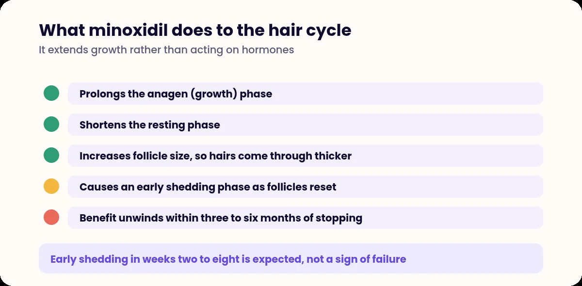 List of the effects of minoxidil on the hair growth cycle