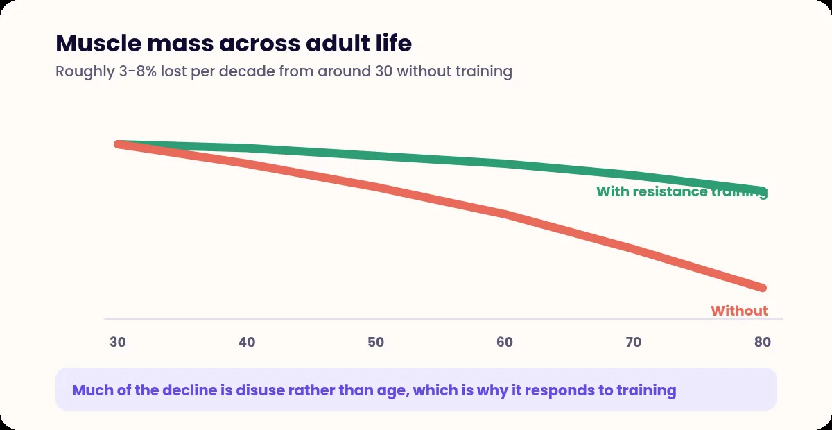 Two lines showing muscle mass falling steadily with age without training and holding far better with resistance training