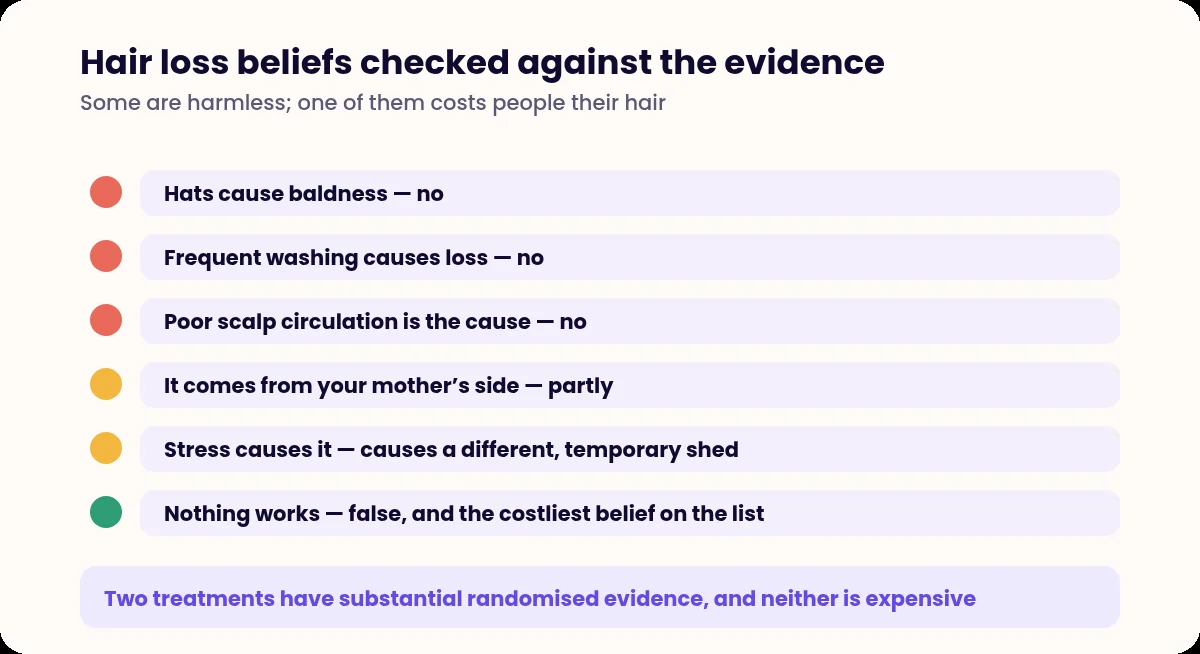 List of six hair loss beliefs with an assessment of each against the evidence
