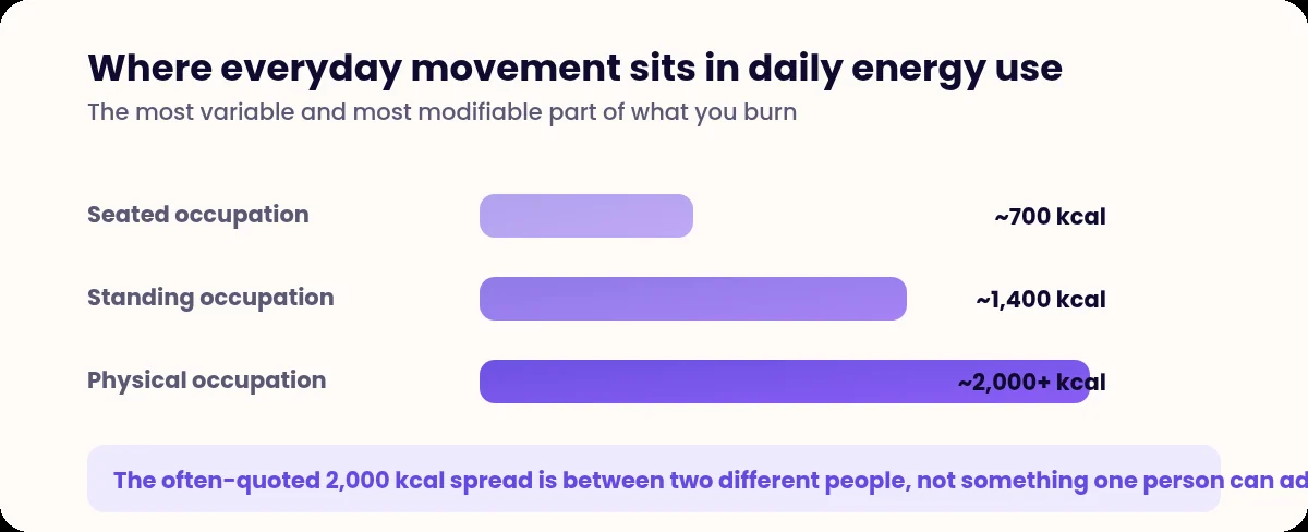 Bar chart of daily non-exercise energy expenditure by occupation type