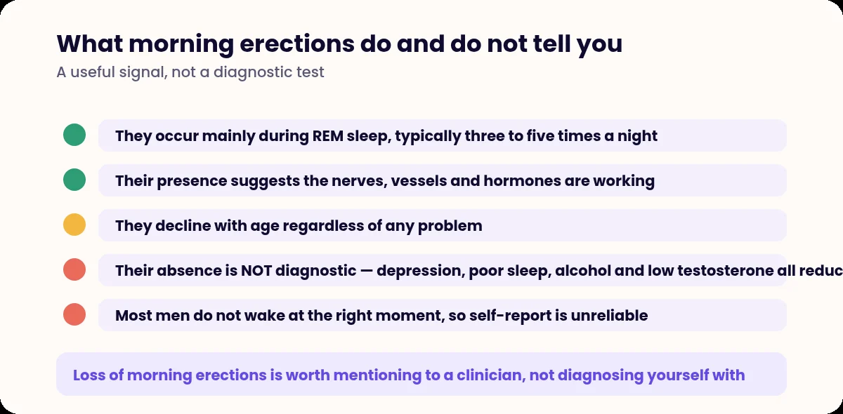 List of what morning erections indicate and their limitations as a test