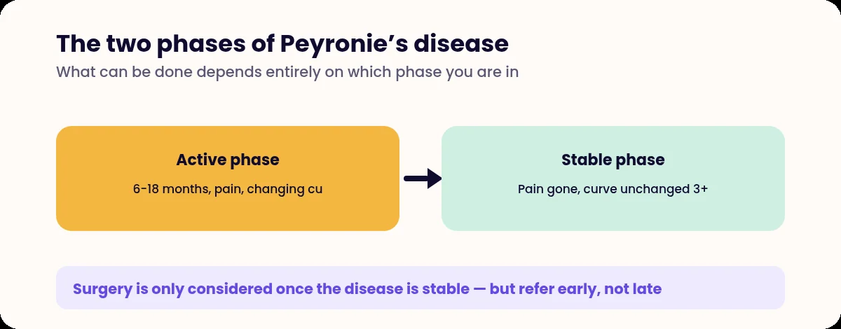 Diagram of the active and stable phases of Peyronie disease