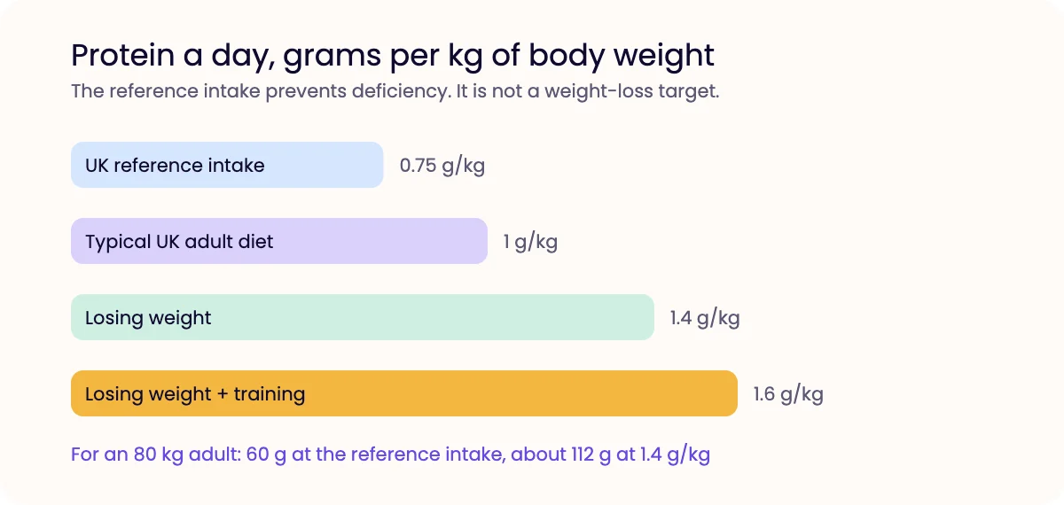 Bar chart comparing protein intakes per kg of body weight: 0.75 g reference intake, 1.0 typical diet, 1.4 when losing weight, 1.6 when also strength training