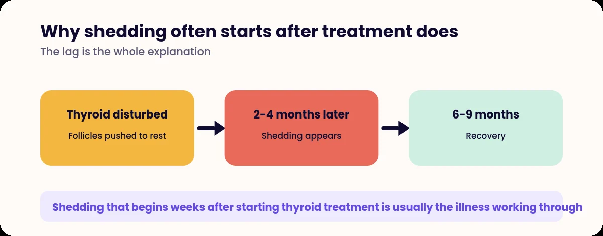 Timeline showing the delay between thyroid disturbance and visible hair shedding
