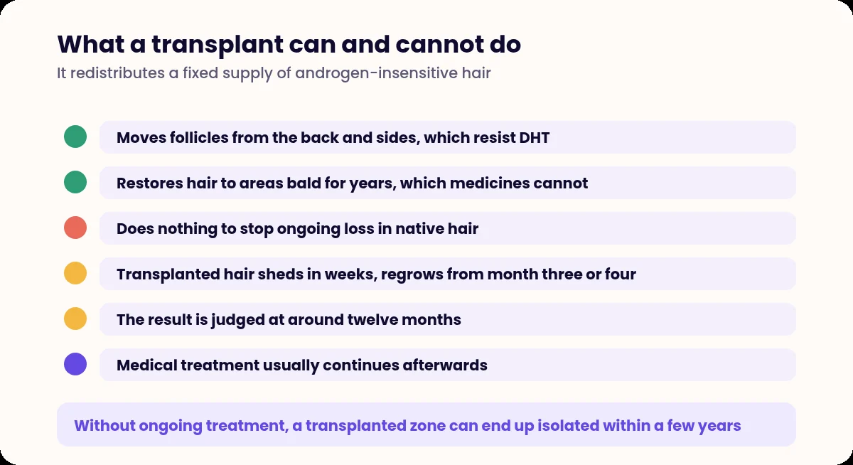 List of what hair transplantation can and cannot achieve