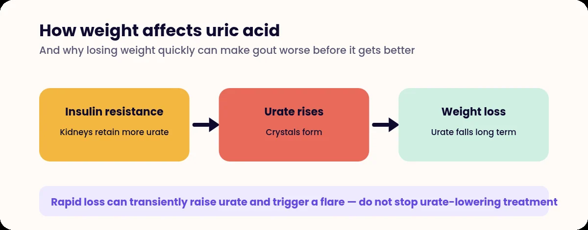 Diagram of the pathway from insulin resistance to raised urate and the effect of weight loss