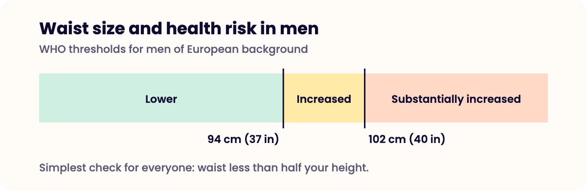 Bar showing waist size risk for men: under 94 cm lower risk, 94 to 101 cm increased, 102 cm or more substantially increased