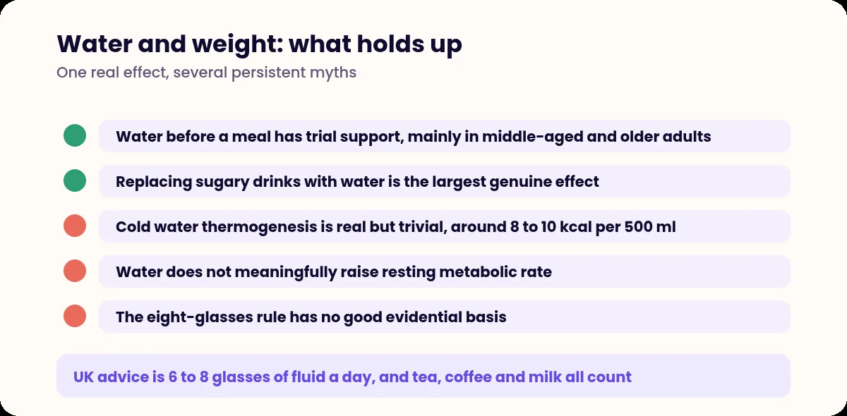 List separating supported and unsupported claims about water and weight loss